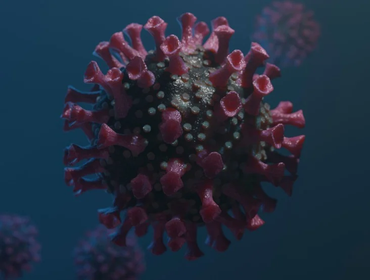 Микоплазма (Mycoplasma genitalium, MG)